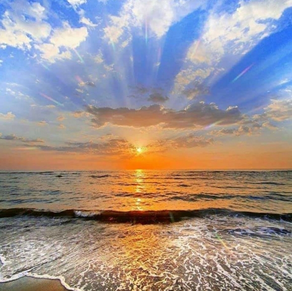 Meet your Posher, Judy - Picture 6 of 10